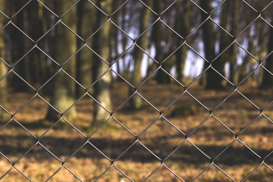Chainlink (LINK) valoriza 26% em 6 dias – Ainda há espaço para novas altas?