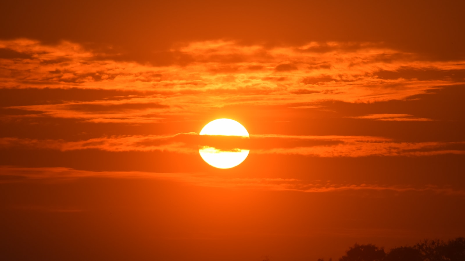Preço do SOL atinge nova máxima em 2023 – O que há por trás do rali da Solana?